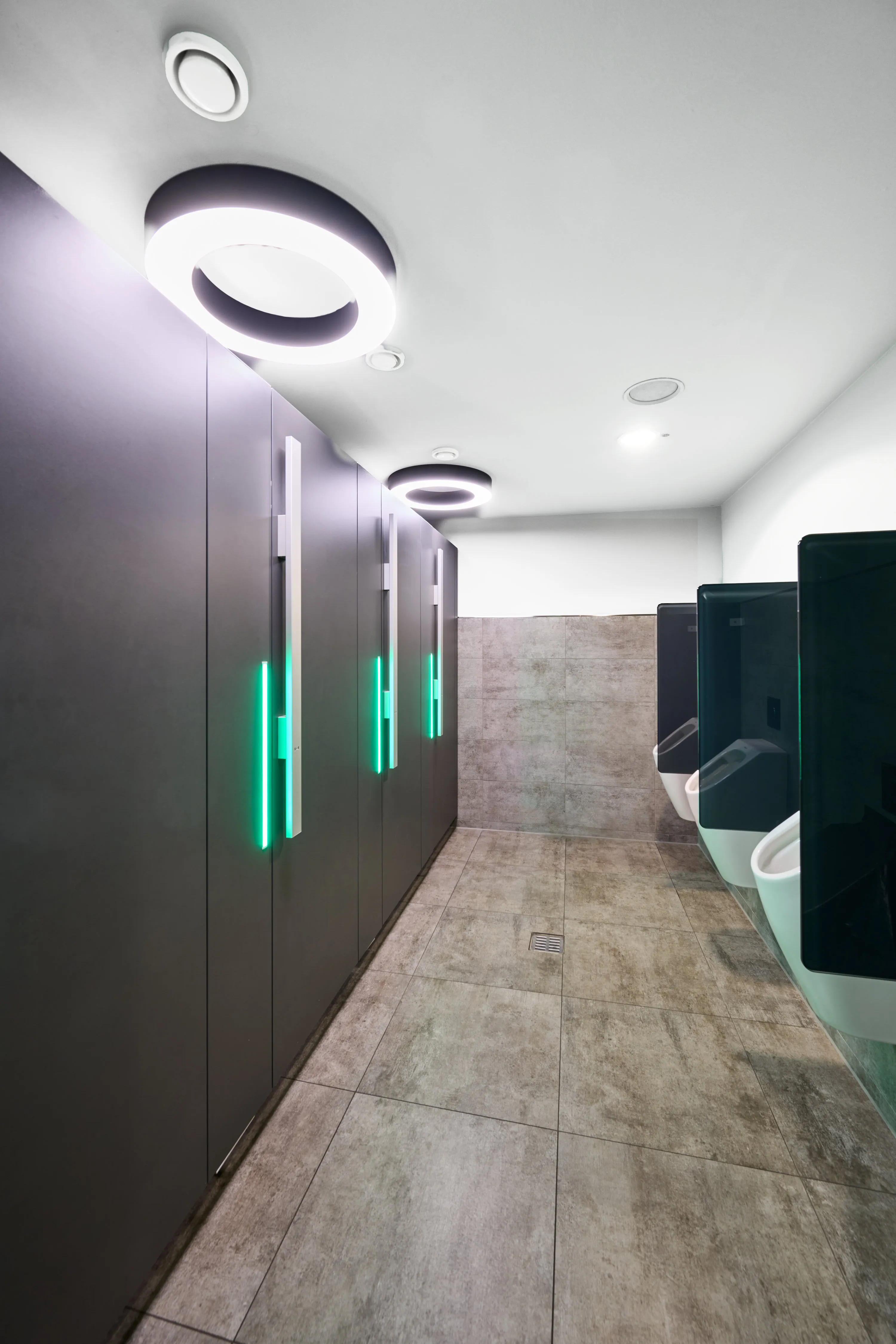 WC partition wall and privacy screens made of glass