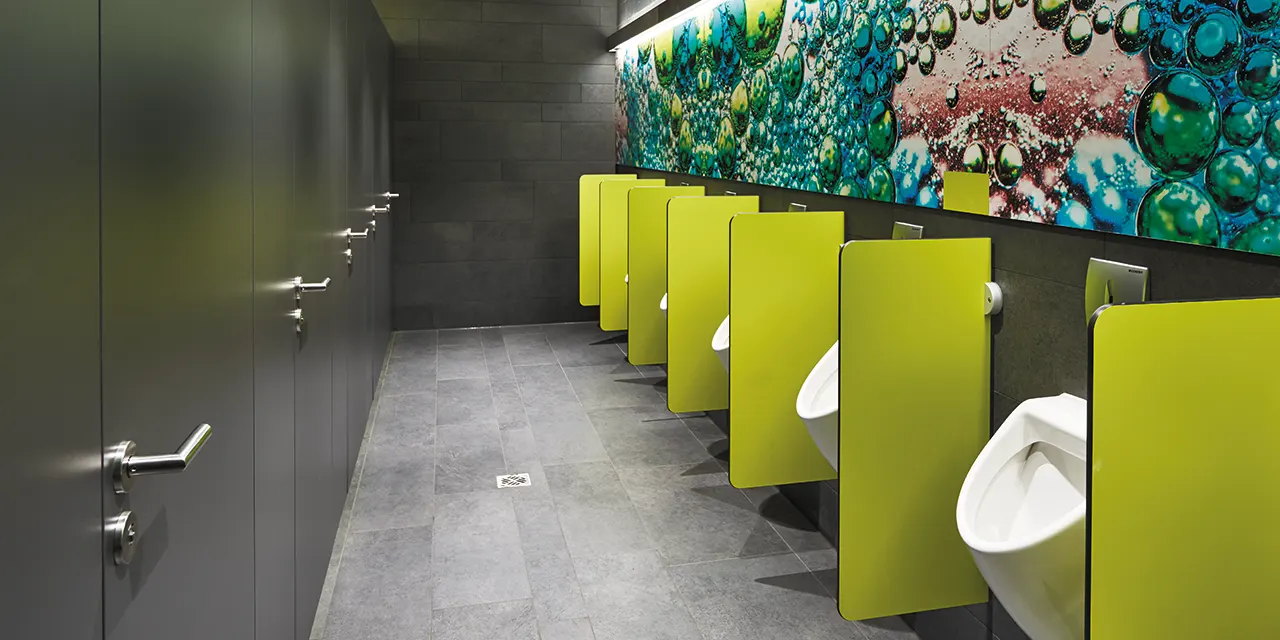 Schools and universities